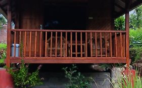 Tetebatu Sunrise Homestay