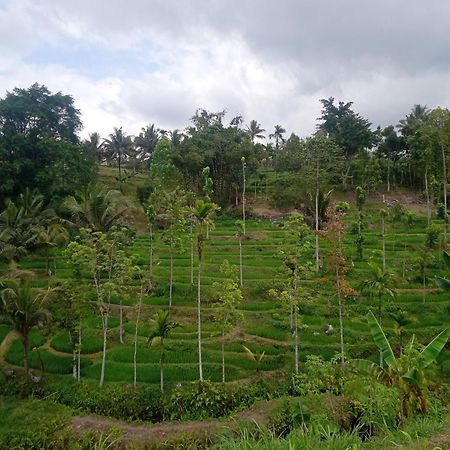 Tetebatu Sunrise Homestay Extérieur photo