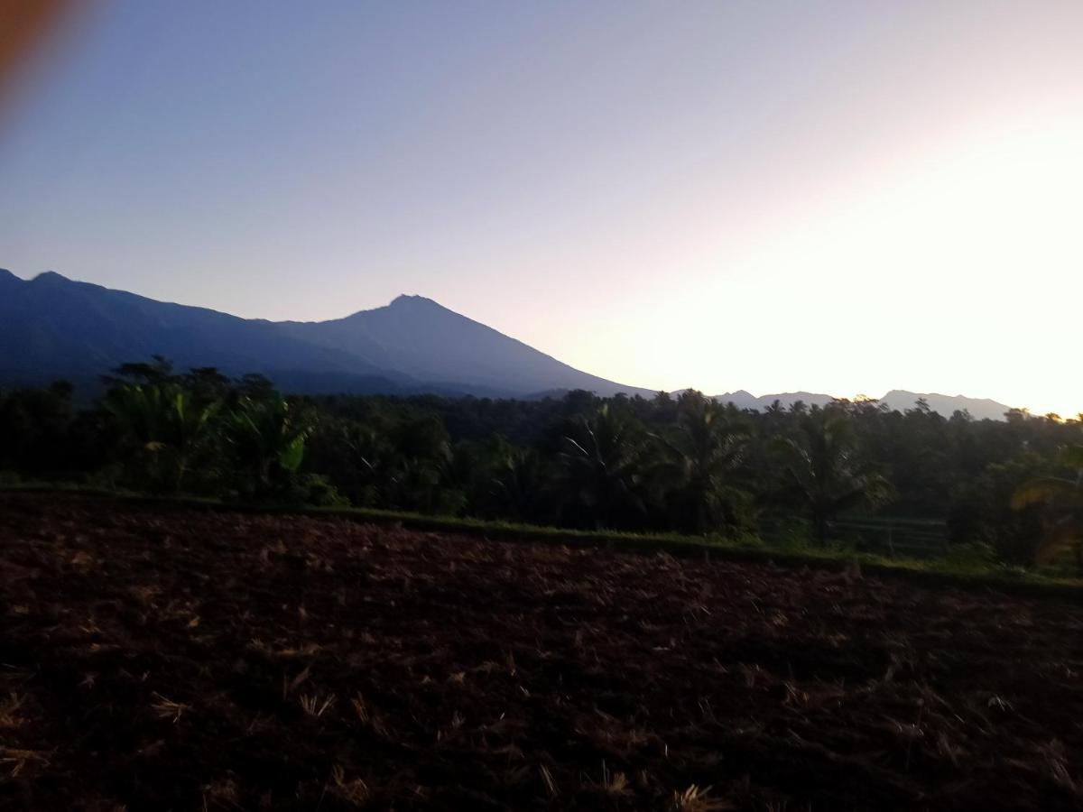 Tetebatu Sunrise Homestay Extérieur photo