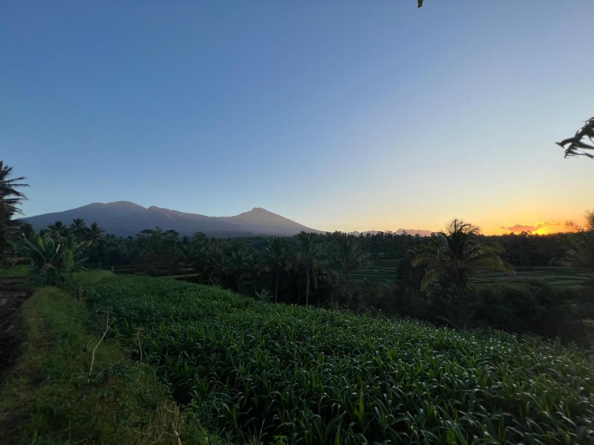 Tetebatu Sunrise Homestay Extérieur photo