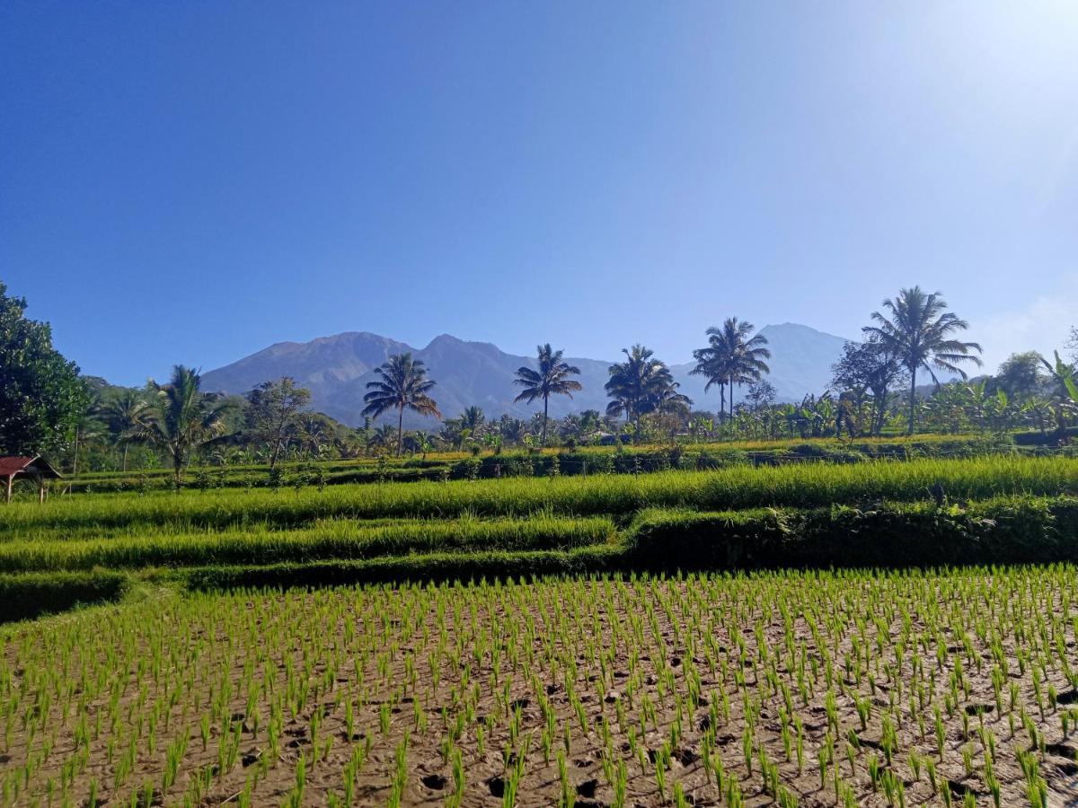 Tetebatu Sunrise Homestay Extérieur photo