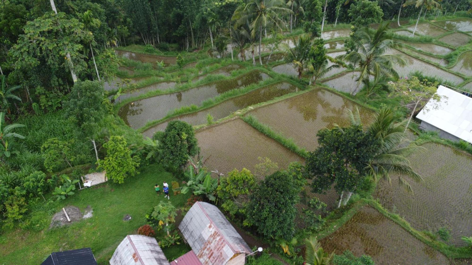 Tetebatu Sunrise Homestay Extérieur photo